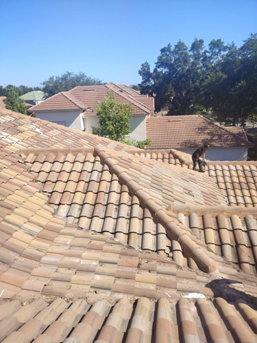 Tile Roof Replacement