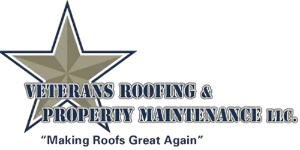 Veterans Roofing & Property Maintenance, FL